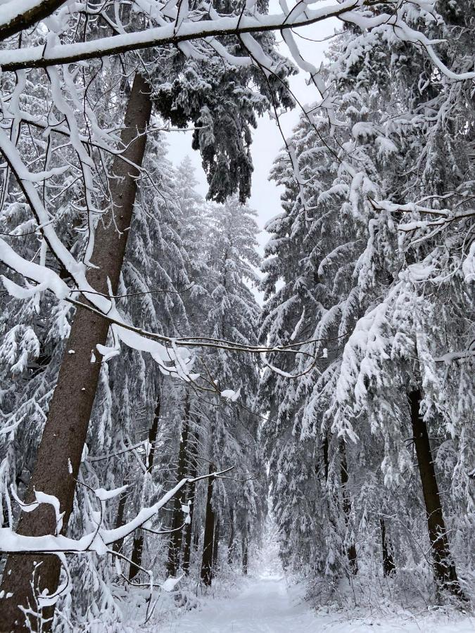Harz Is Calling جوسلار المظهر الخارجي الصورة