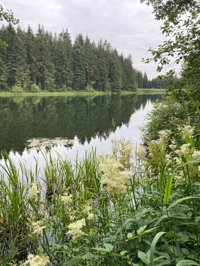 Harz Is Calling جوسلار المظهر الخارجي الصورة