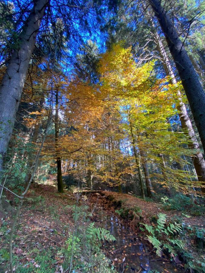Harz Is Calling جوسلار المظهر الخارجي الصورة